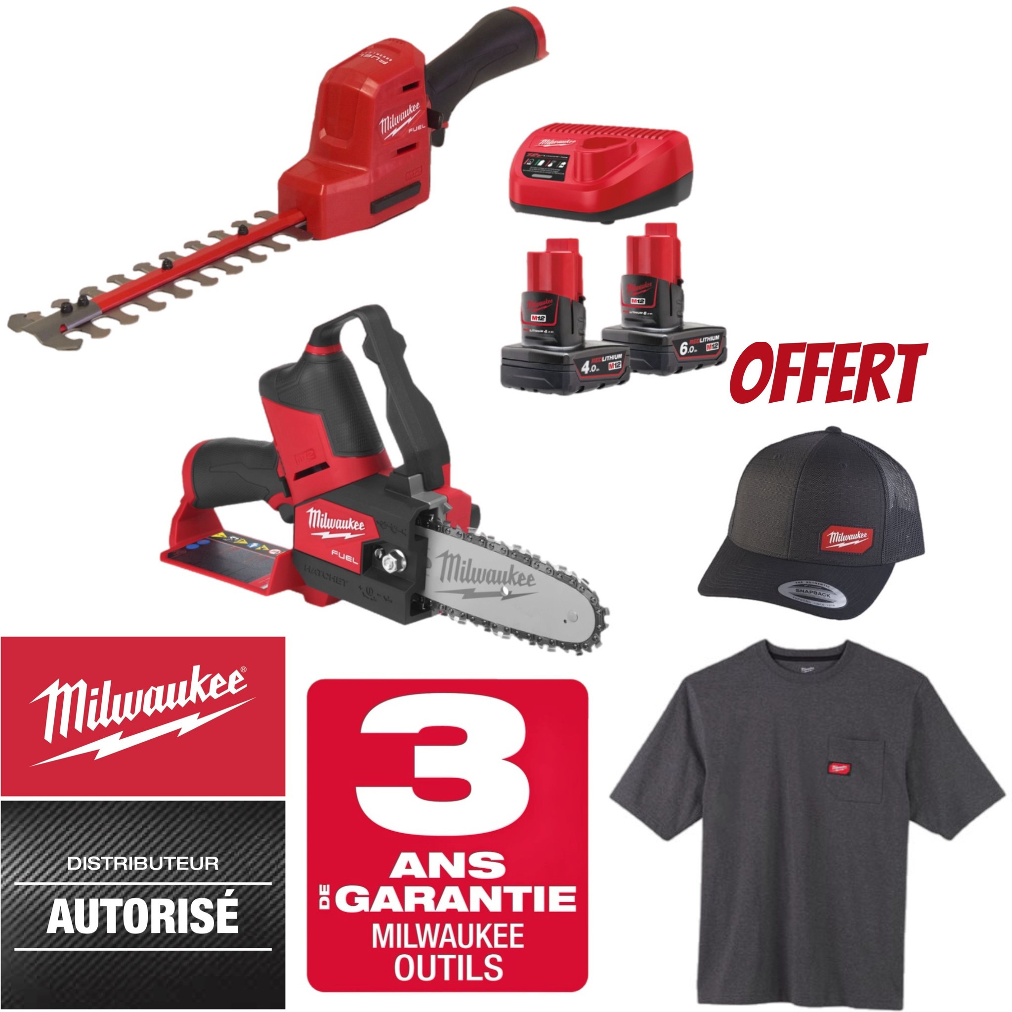 PACK MACHINES MILWAUKEE 12V ELAGUEUSE + TAILLE HAIES M12 FPP20P2-642 POWERPACK FHS & FHT 4933493208