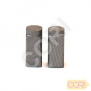 CHARBON 0401