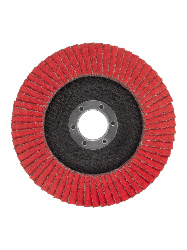 DISQUE À LAMELLES CERA TURBO™ XL MILWAUKEE