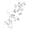 BDF460