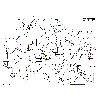 MILWAUKEE MS216SB 4000410921